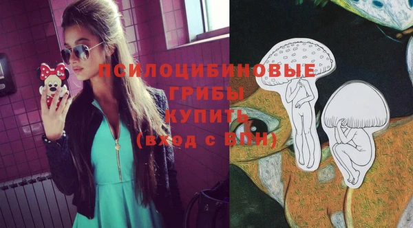 а пвп мука Абаза