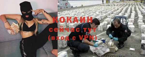 дживик Михайловск